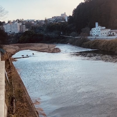 Yamaguchi