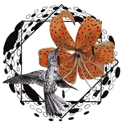 Tigerlily