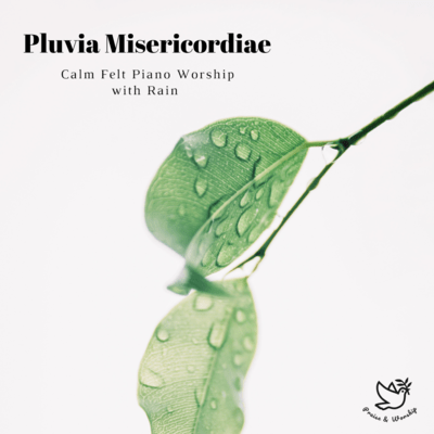 Pluvia Misericordiae -Calm Felt Piano Worship with Rain-