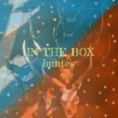 IN THE BOX