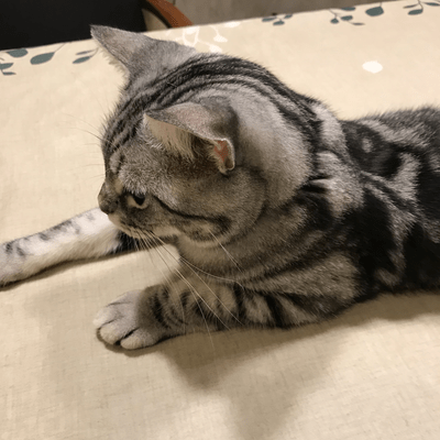 AKINOKYOKU