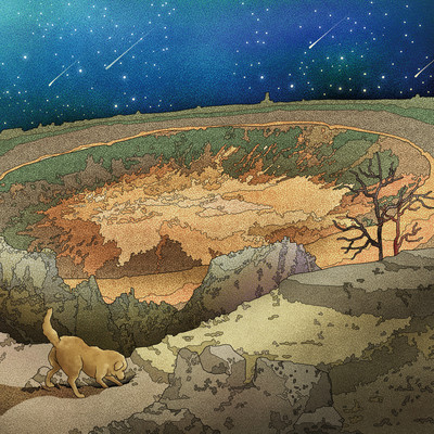 MIDNIGHT FOSSIL