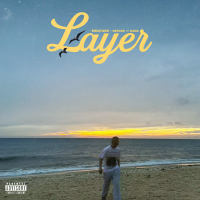 Layer