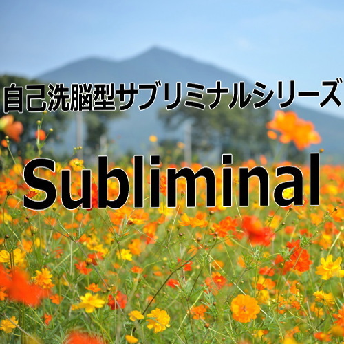 Own brainwash subliminal