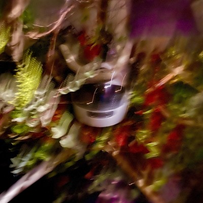 Bliss (feat. Final Drop)