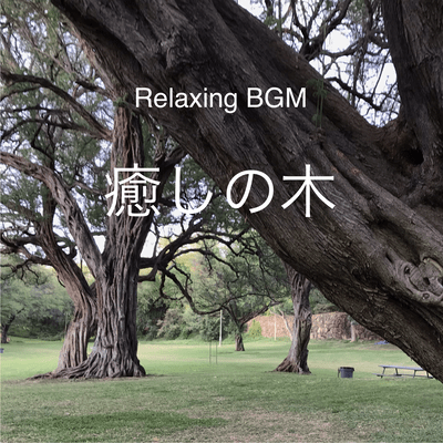 Relaxing BGM "Healing Tree"