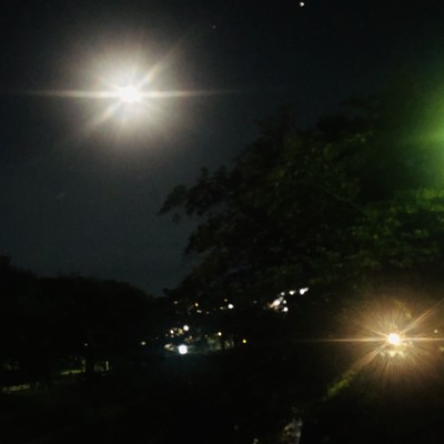 Middle of the Night