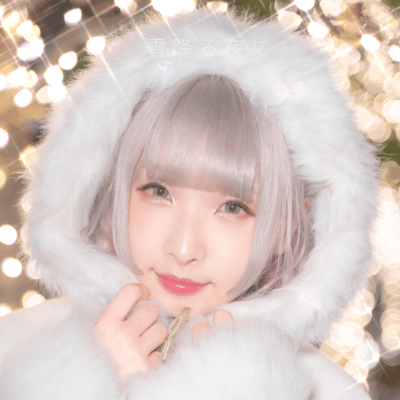 The snowy night