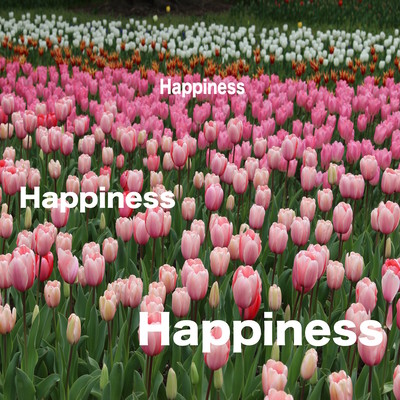 Happiness