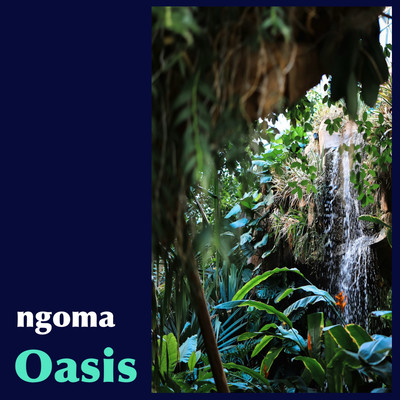 Oasis