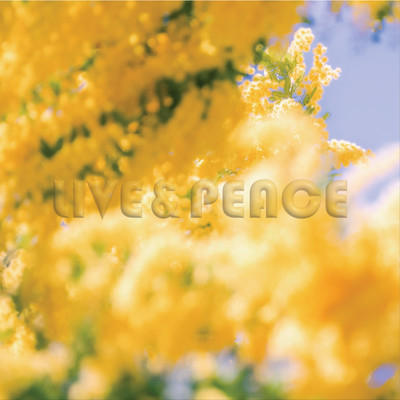 LIVE&PEACE