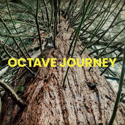 OCTAVE JOURNEY