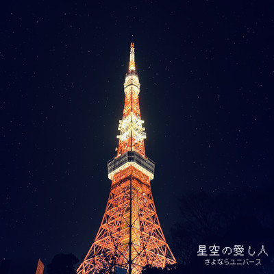 Lovers of Starry Night