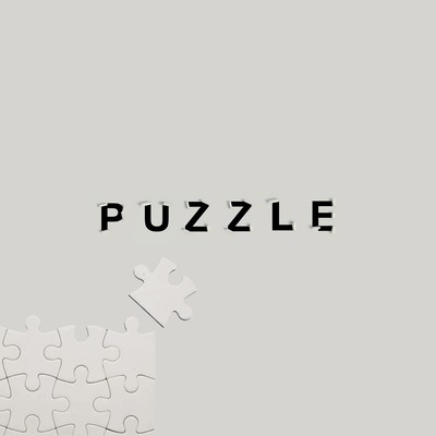 PUZZLE (acoustic ver.)