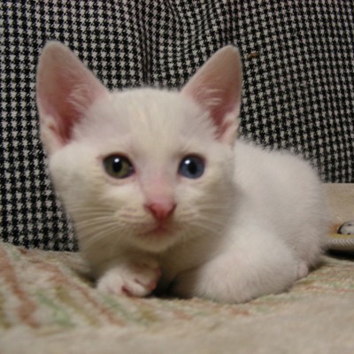 One Time, One Meeting