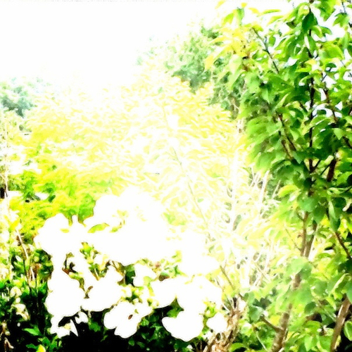 432HZ MUSIC JAPAN