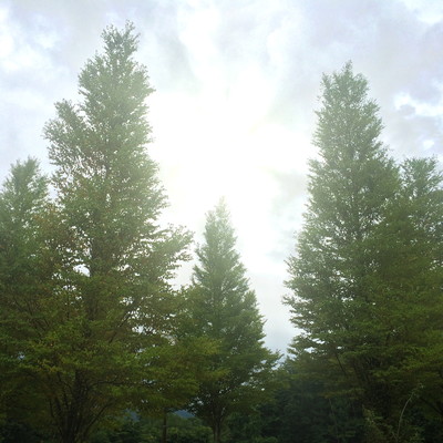 The Wind Band (432Hz version)