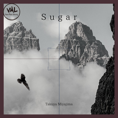 Sugar