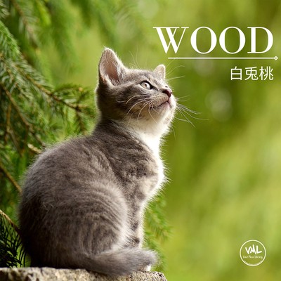 WOOD
