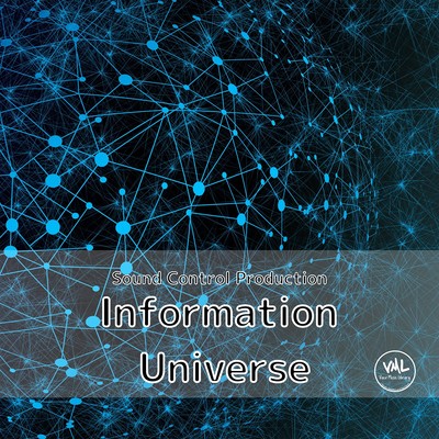 Information Universe