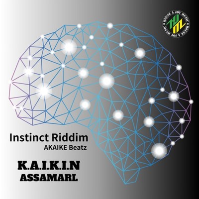 K.A.I.K.I.N