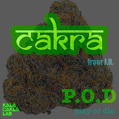 P.O.D / play or die