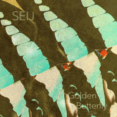 Golden Butterfly (2026 Ver.)
