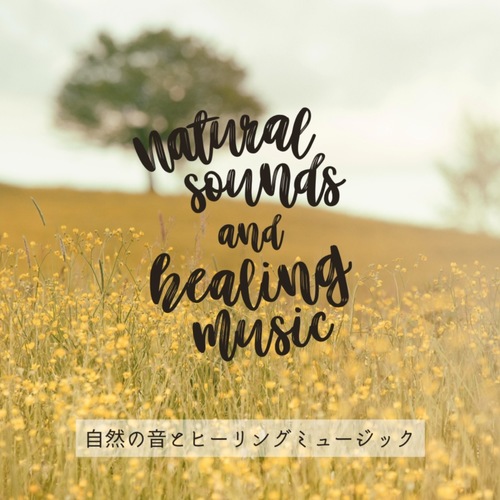 Nature Sounds and Healing Music