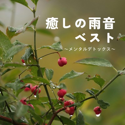 Healing Rain Best - Mental Detox