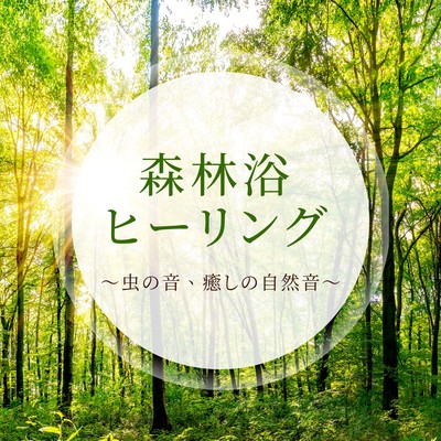 Forest Bathing Healing - Insect Sounds & Soothing Nature Sounds