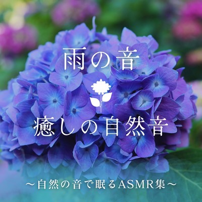 Rain Sounds & Healing Nature Sounds - Fall Asleep with Nature ASMR Collection