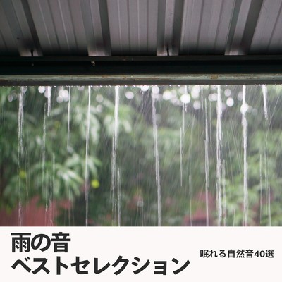 Rain Sound Best Selection - 40 Nature Sounds for Sleep