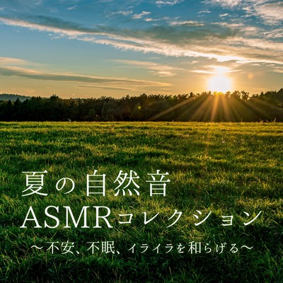 Summer Nature Sound ASMR Collection - Easing Anxiety, Insomnia, and Irritation