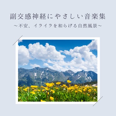 Music Collection Gentle on the Parasympathetic Nervous System - Natural Soundscapes to Ease Anxiety and Irritation
