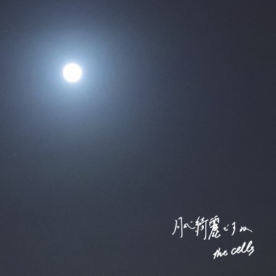 Tuki ga Kirei desune