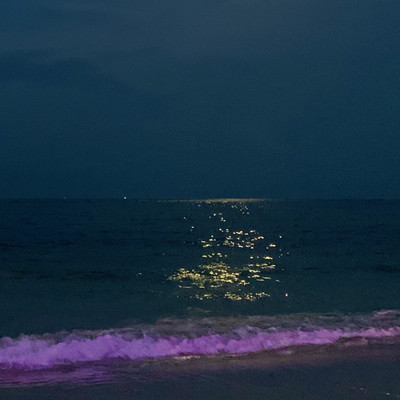 STAR BEACH