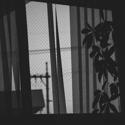saturday