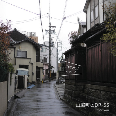 Yamawakicho with DR-55