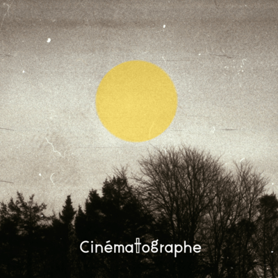 moonlight