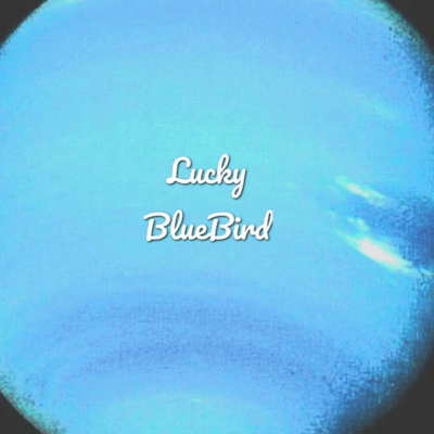 Lucky Blue Bird