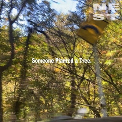 Someone Planted a Tree.