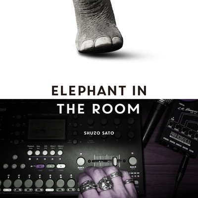 Elephant In The Room