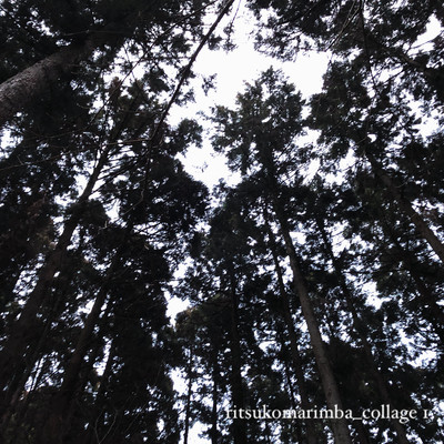 ritsukomarimba_collage 1