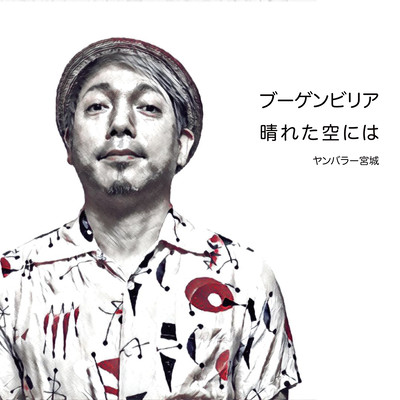 Bougainvillea / sunny sky