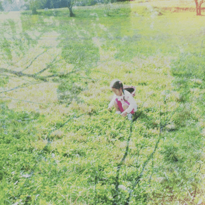 White Clover