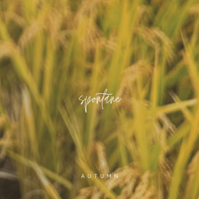 Spontane - Autumn