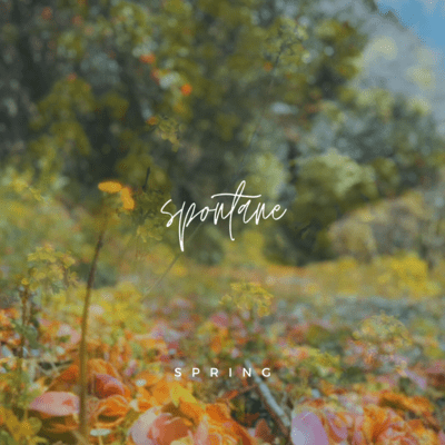 Spontane : Spring