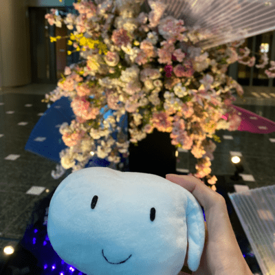 record (Live at Live Bar Lonesome, 2025)