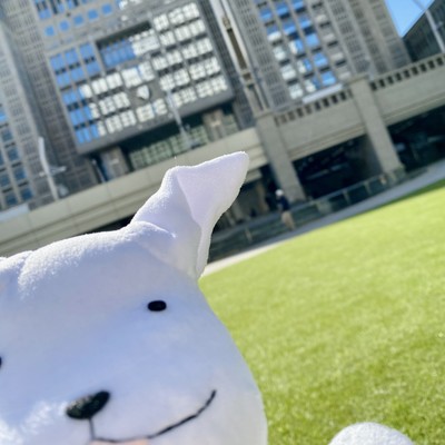 A Beginning (Live at Ongaku No Jikan, 2025)