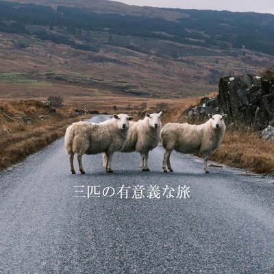 The three's meaningful journey